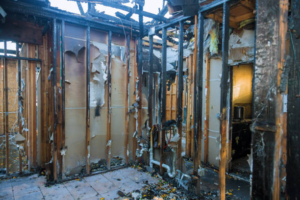 Professional Odor Removal technician working in Campbell, MO